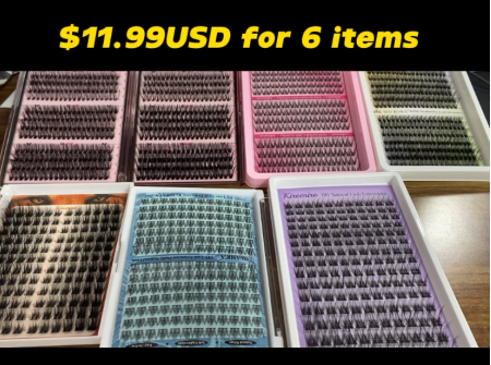 $11.99 for 6 items