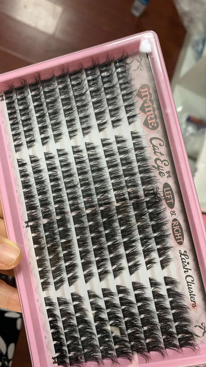 6 packs of lashes