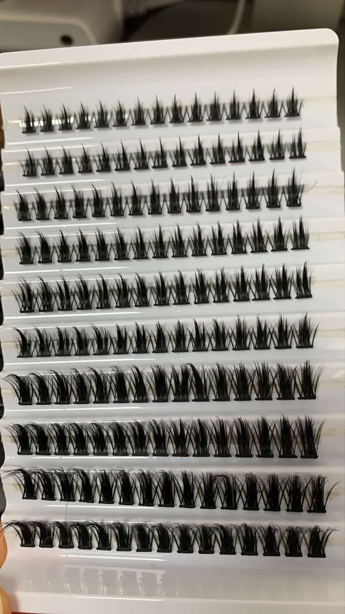 10 packs of lashes