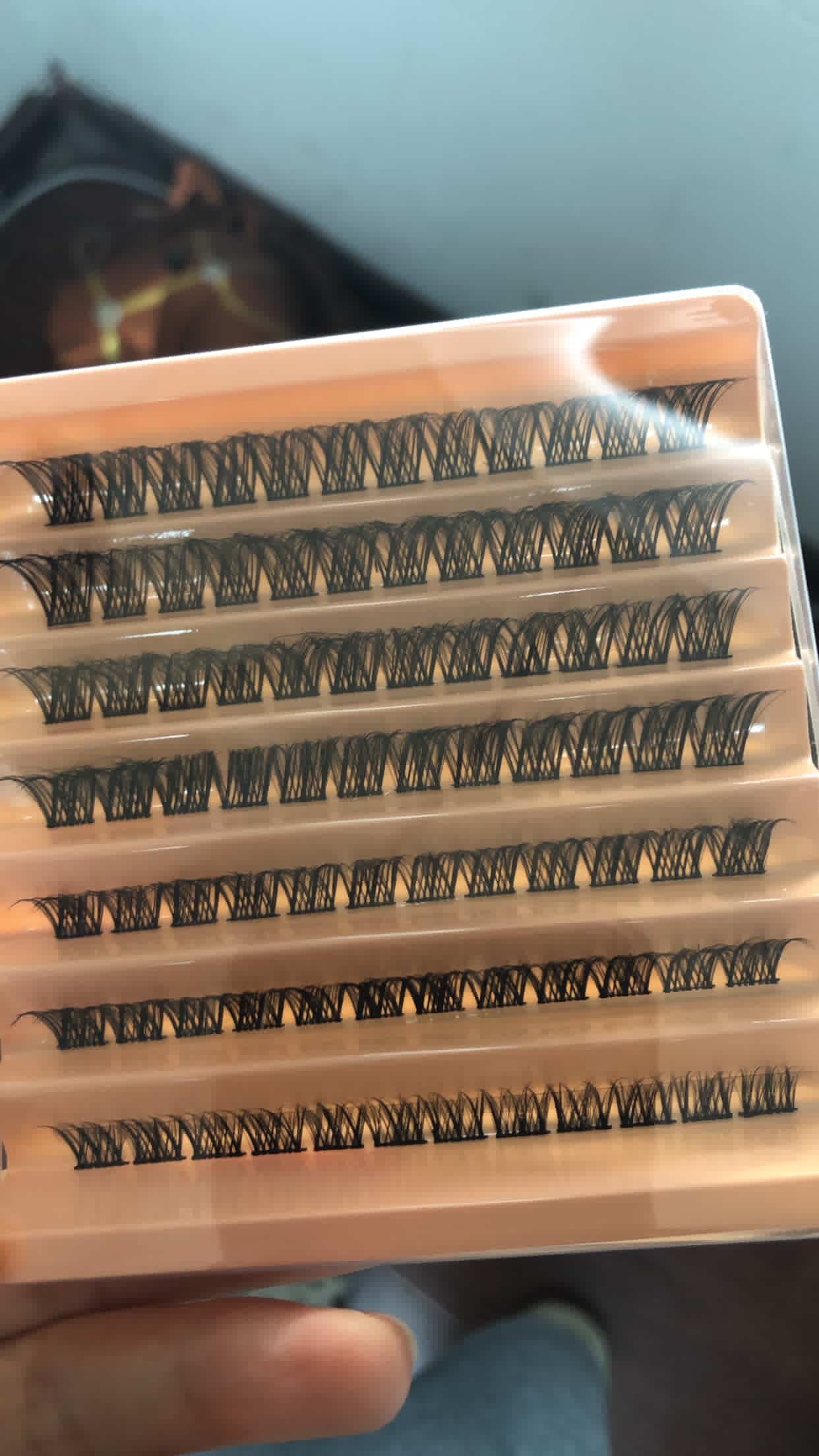 10 packs of lashes