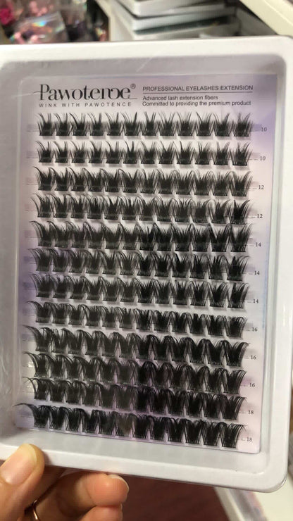 6 packs of lashes