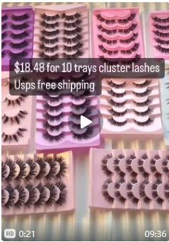 $18.48 for 10 trays lashes