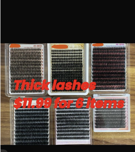 $11.99 for 6 lashes