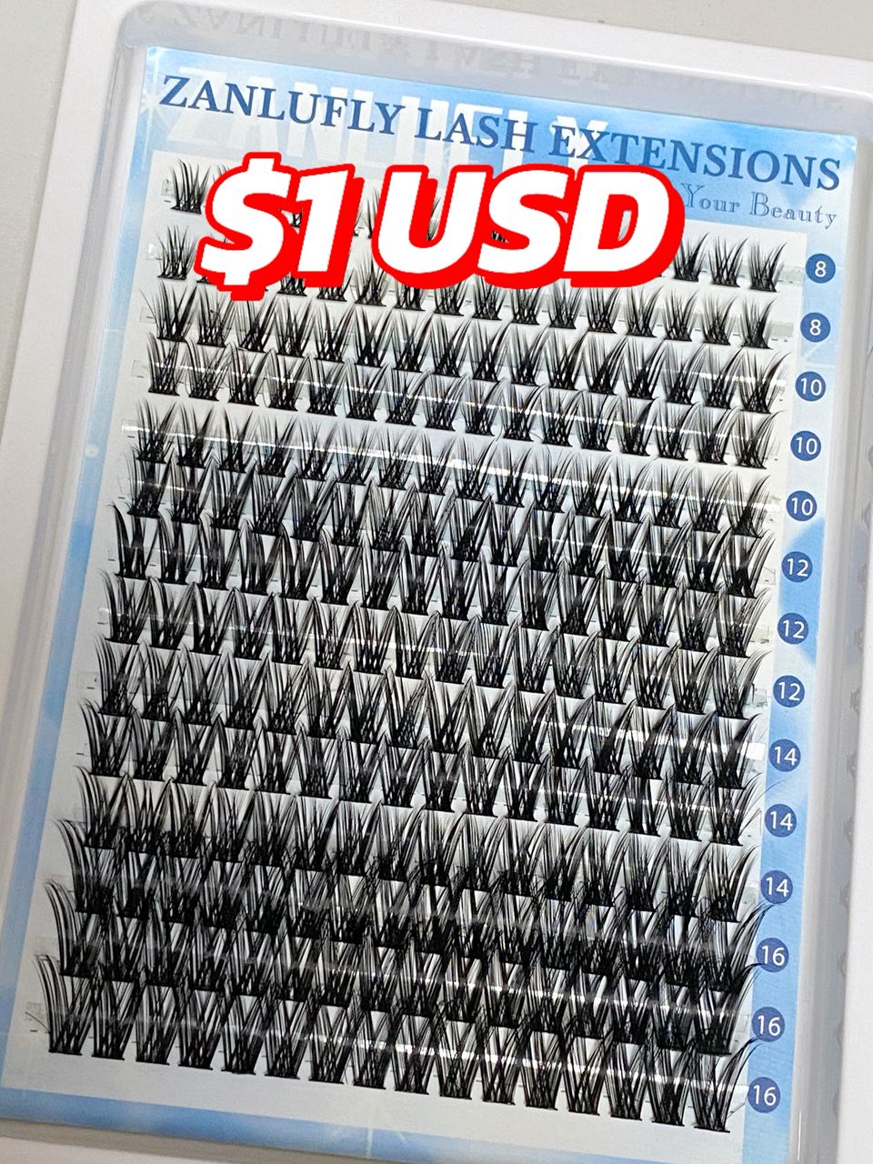 16$ for 6 packs lashes