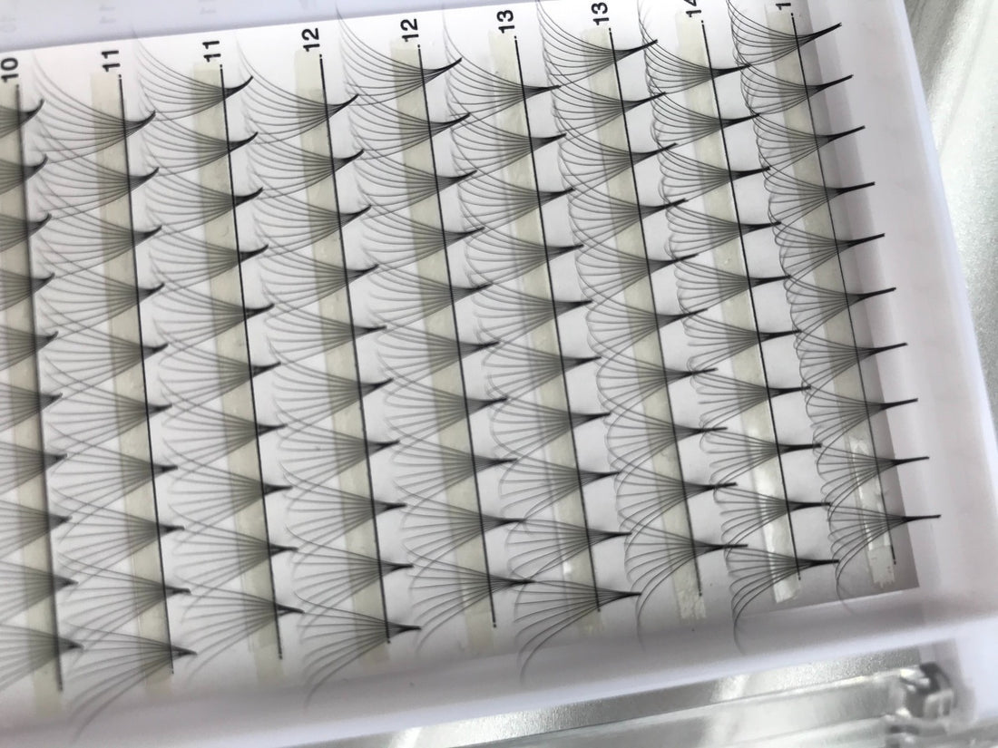 $22.29 for 10 trays lashes