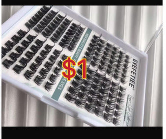 $27 for 12 trays lashes
